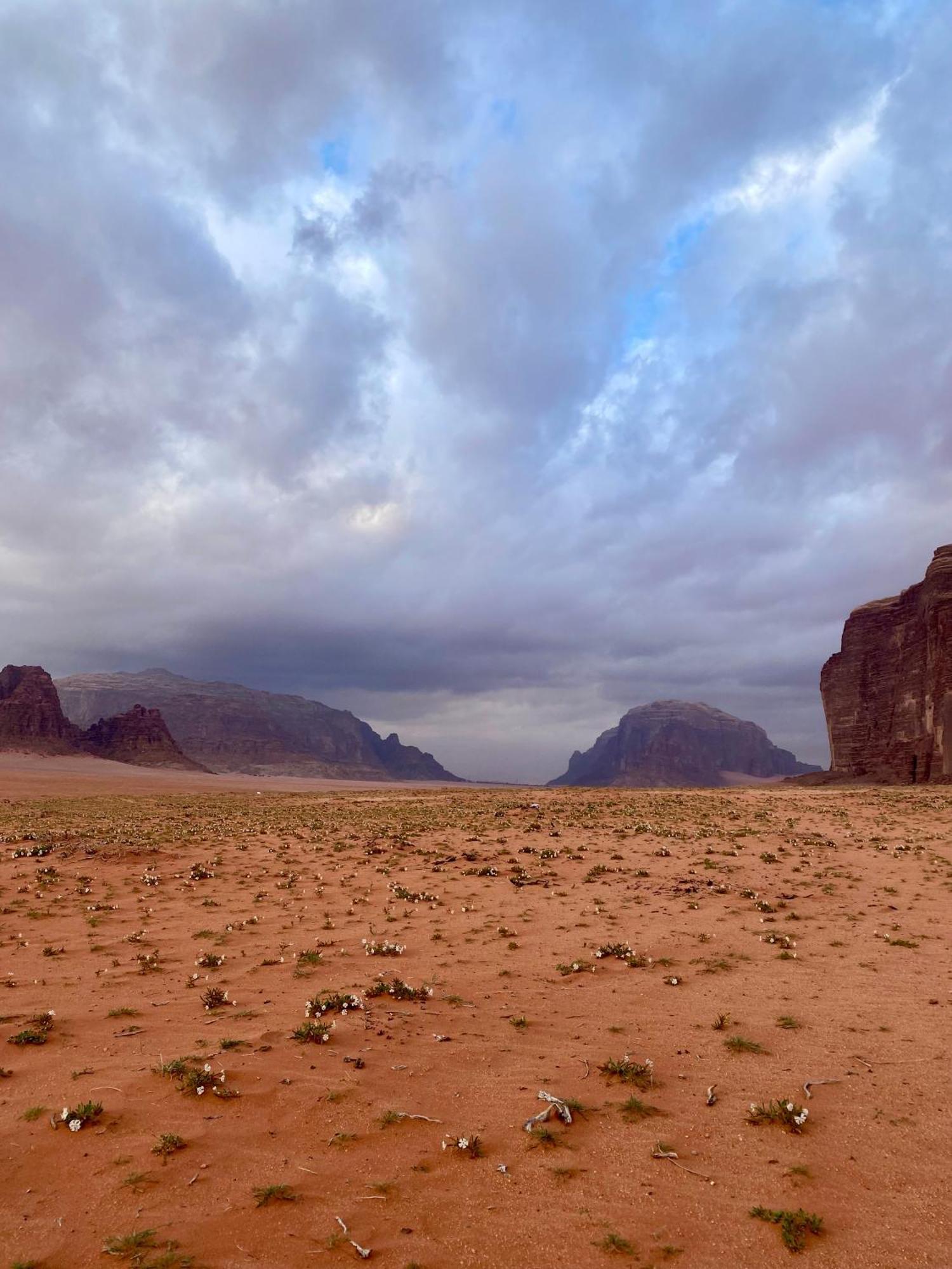 Glamp Camp Wadi Rum Extérieur photo